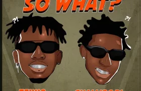 Download Tekno – So What? ft. Shallipopi Mp3